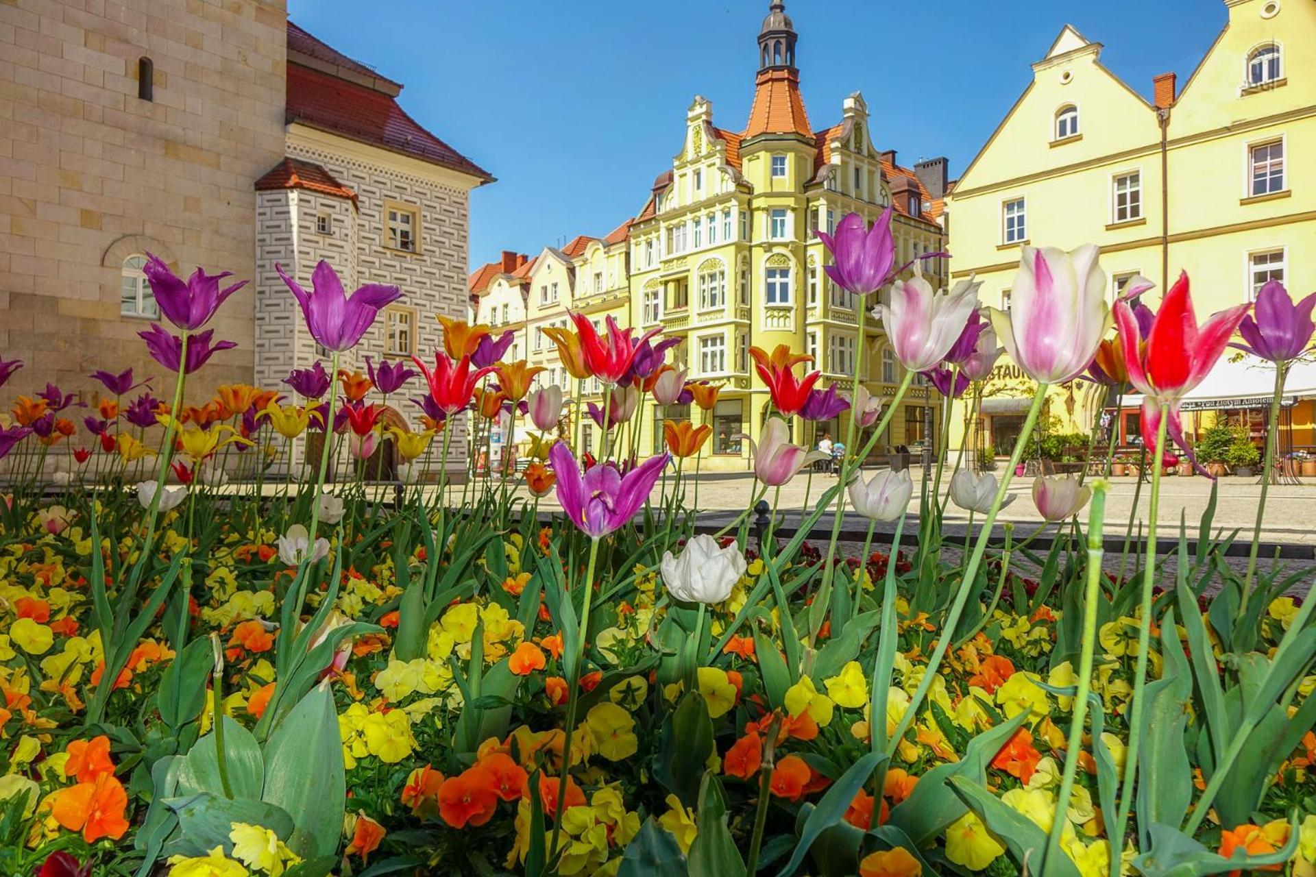 Apartament Przy Starowce - Zoni Boleslawiec  Zewnętrze zdjęcie